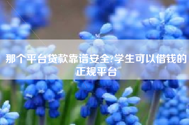 那个平台贷款靠谱安全?学生可以借钱的正规平台