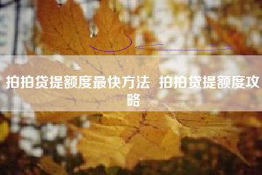 拍拍贷提额度最快方法  拍拍贷提额度攻略
