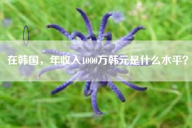 在韩国，年收入1000万韩元是什么水平？
