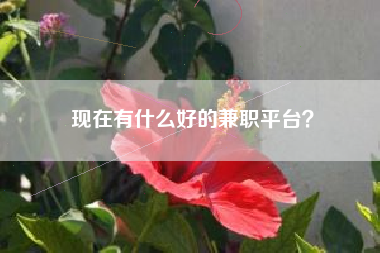 现在有什么好的兼职平台？