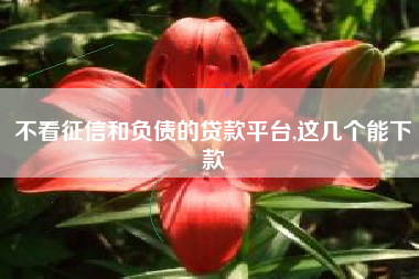不看征信和负债的贷款平台,这几个能下款