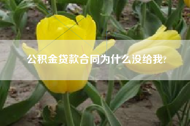 公积金贷款合同为什么没给我?