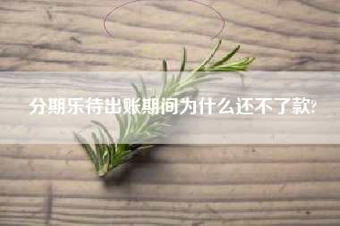 分期乐待出账期间为什么还不了款?