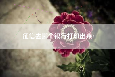 征信去哪个银行打印出来?