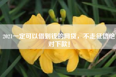 2021一定可以借到钱的网贷，不走征信绝对下款！
