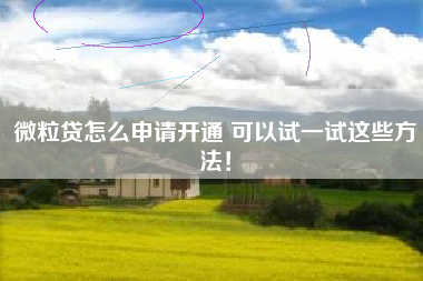 微粒贷怎么申请开通 可以试一试这些方法！
