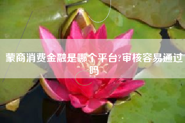 蒙商消费金融是哪个平台?审核容易通过吗