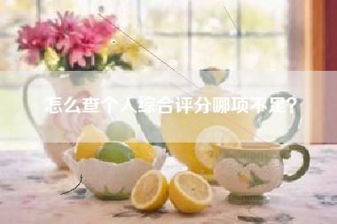 怎么查个人综合评分哪项不足？
