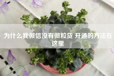 为什么我微信没有微粒贷 开通的方法在这里