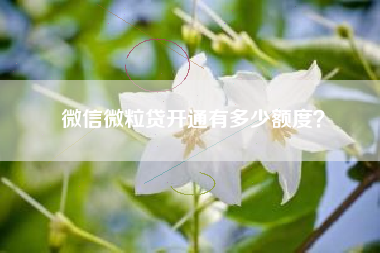 微信微粒贷开通有多少额度？