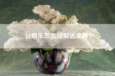 分期乐怎么提前还全款？