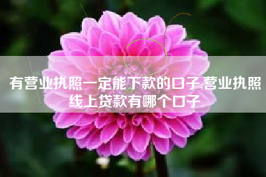 有营业执照一定能下款的口子,营业执照线上贷款有哪个口子
