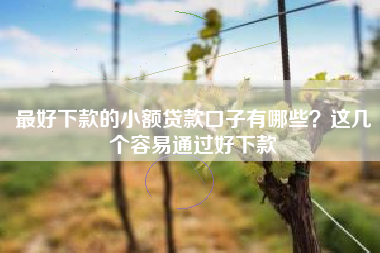 最好下款的小额贷款口子有哪些？这几个容易通过好下款