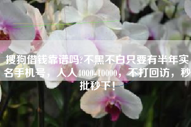 搜狗借钱靠谱吗?不黑不白只要有半年实名手机号，人人4000-10000，不打回访，秒批秒下！