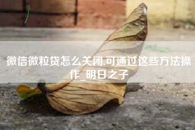 微信微粒贷怎么关闭,可通过这些方法操作_明日之子
