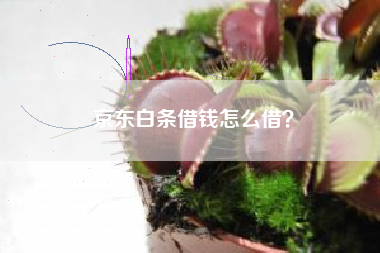 京东白条借钱怎么借？