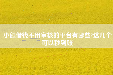小额借钱不用审核的平台有哪些?这几个可以秒到账