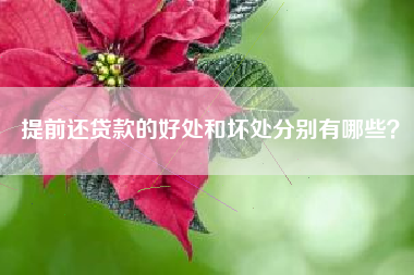 提前还贷款的好处和坏处分别有哪些？
