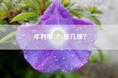 年利率7.2%是几厘？