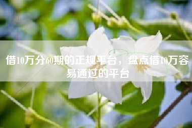 借10万分60期的正规平台，盘点借10万容易通过的平台