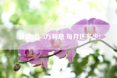 贷款2万-3万利息 每月还多少?