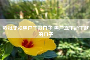 秒批无视黑户下款口子 黑户真正能下款的口子