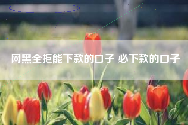网黑全拒能下款的口子 必下款的口子
