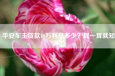 平安车主贷款10万利息多少？算一算就知道了
