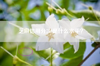 芝麻信用分750是什么水平？