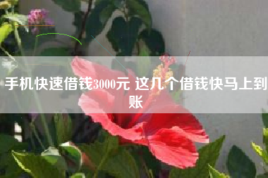 手机快速借钱3000元 这几个借钱快马上到账