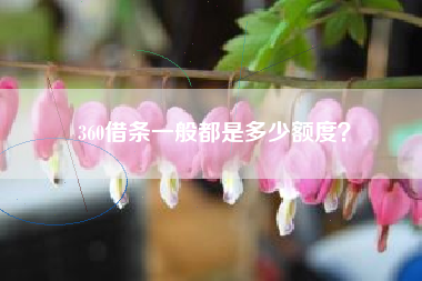 360借条一般都是多少额度？