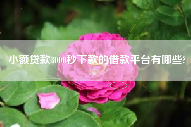 小额贷款3000秒下款的借款平台有哪些?