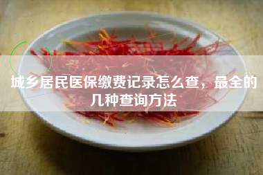 城乡居民医保缴费记录怎么查，最全的几种查询方法