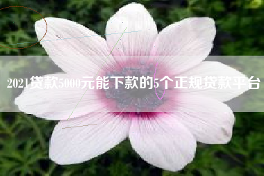 2021贷款5000元能下款的5个正规贷款平台