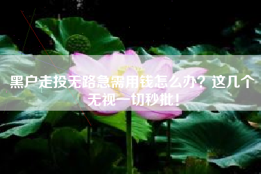 黑户走投无路急需用钱怎么办？这几个无视一切秒批！