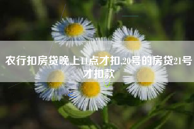 农行扣房贷晚上11点才扣,20号的房贷21号才扣款