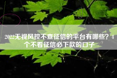2022无视风控不查征信的平台有哪些？4个不看征信必下款的口子