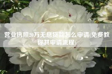 营业执照20万无息贷款怎么申请(免费教你其申请流程)