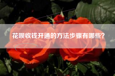 花呗收钱开通的方法步骤有哪些？