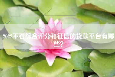 2022不看综合评分和征信的贷款平台有哪些？