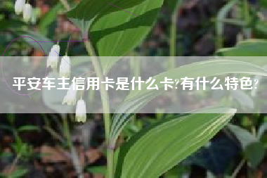 平安车主信用卡是什么卡?有什么特色?