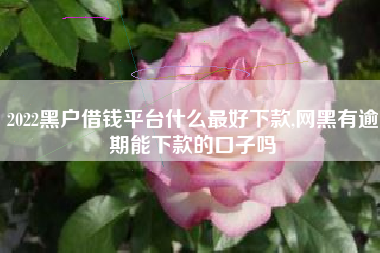 2022黑户借钱平台什么最好下款,网黑有逾期能下款的口子吗