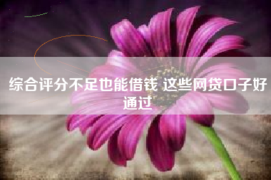 综合评分不足也能借钱 这些网贷口子好通过