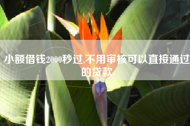 小额借钱2000秒过,不用审核可以直接通过的贷款