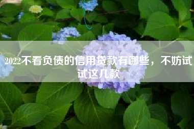 2022不看负债的信用贷款有哪些，不妨试试这几款