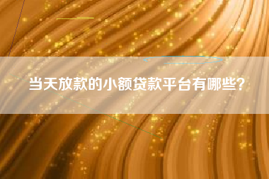 当天放款的小额贷款平台有哪些？