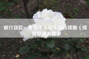 银行贷款一年还不上可不可以续期（续贷申请流程）