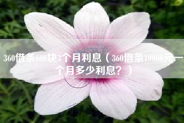 360借条600块3个月利息（360借条10000元一个月多少利息？）