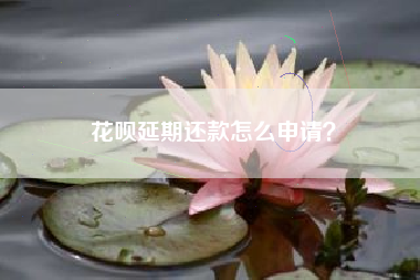 花呗延期还款怎么申请？