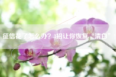 征信花了怎么办？3招让你恢复“清白”!